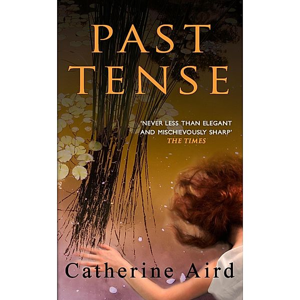 Past Tense / Sloan and Crosby Bd.23, Catherine Aird