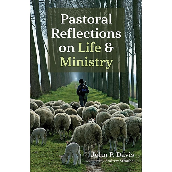 Pastoral Reflections on Life and Ministry, John P. Davis