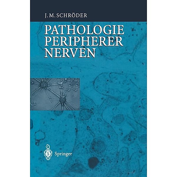 Pathologie des Nervensystems VIII / Spezielle pathologische Anatomie Bd.13 / 8, J. M. Schröder
