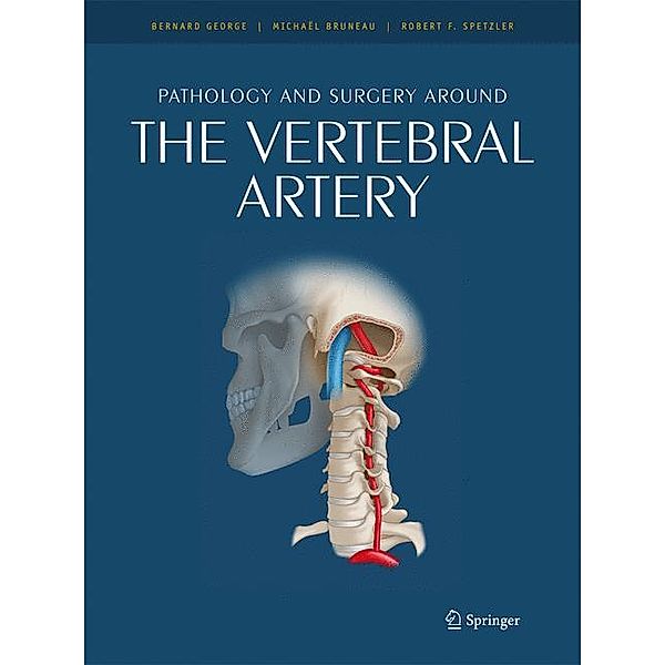 Pathology and surgery around the vertebral artery