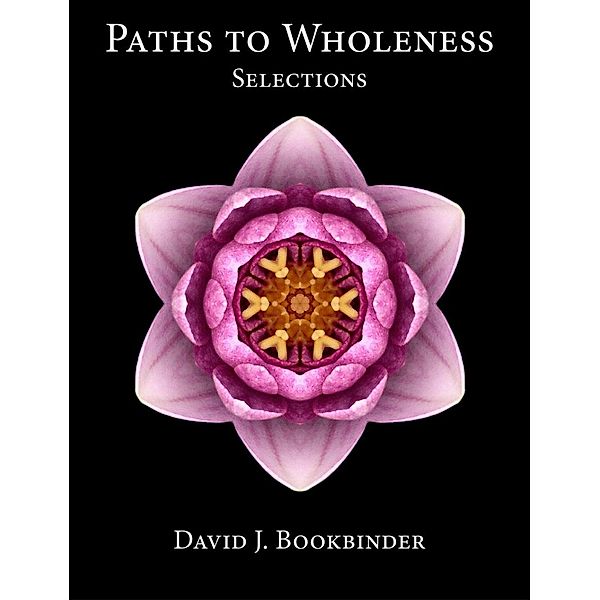 Paths to Wholeness: Selections, David J. Bookbinder