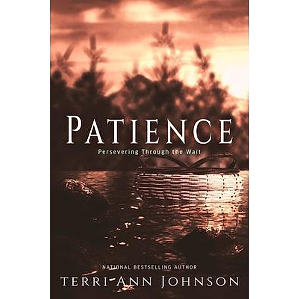 Patience / Merry Hearts Inspirational Series Bd.7, Terri Johnson