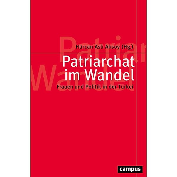 Patriarchat im Wandel / Politik der Geschlechterverhältnisse Bd.58