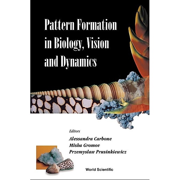 Pattern Formation In Biology, Vision And Dynamics