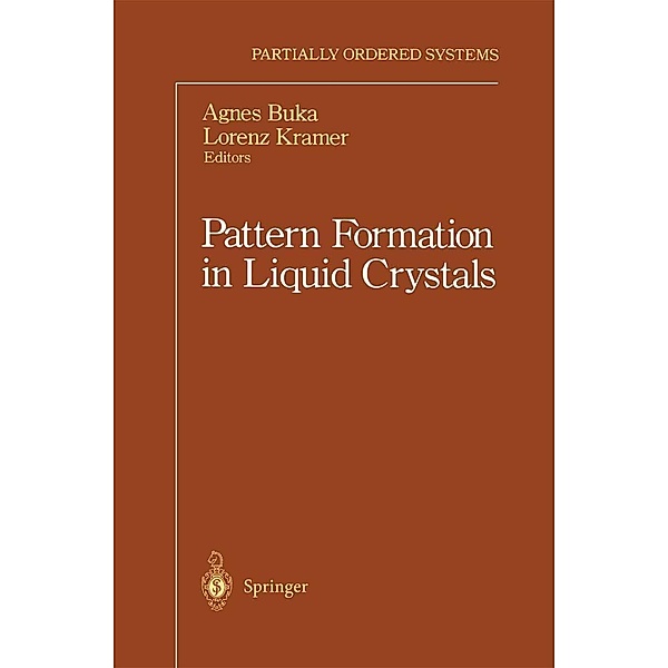 Pattern Formation in Liquid Crystals / Partially Ordered Systems