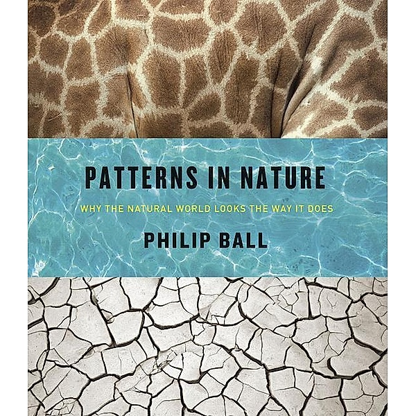Patterns in Nature, Philip Ball