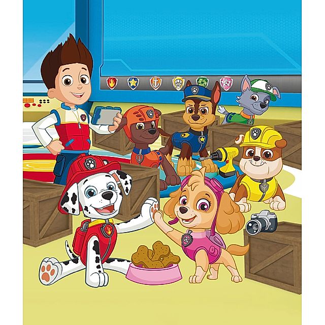 PAW Patrol PAW Patrol Mein Taschenlampenbuch kaufen