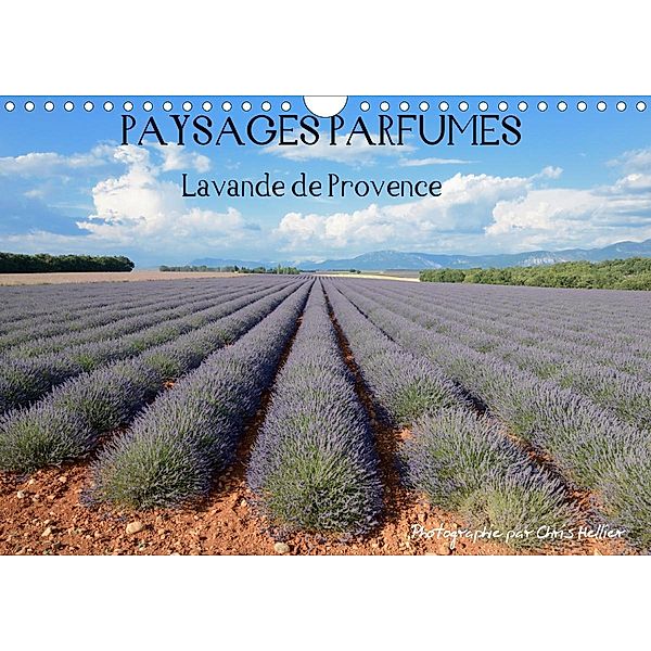 Paysages parfumés - Lavende de Provence (Calendrier mural 2021 DIN A4 horizontal), Chris Hellier (© Photos Copyright)