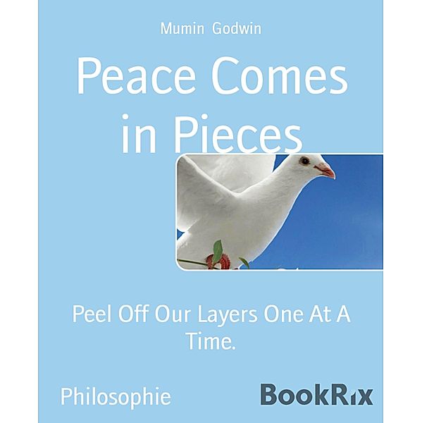 Peace Comes in Pieces, Abdul Mumin Muhammad