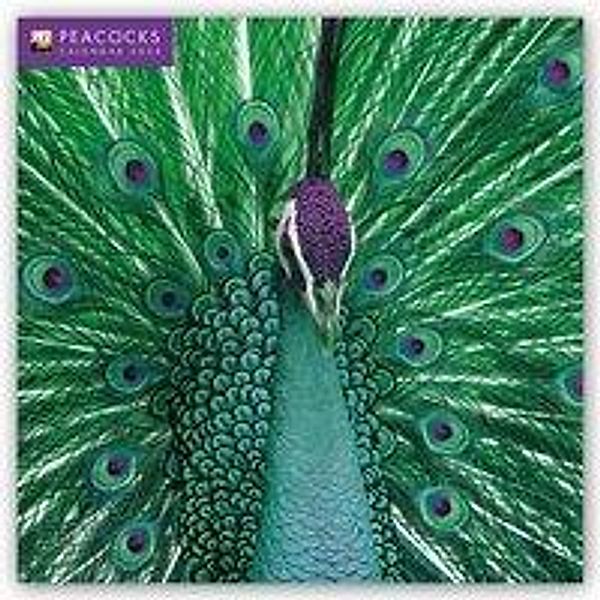 Peacocks 2020, Flame Tree Publishing