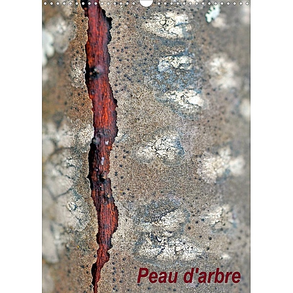 Peau d'arbre (Calendrier mural 2023 DIN A3 vertical), Patrice Thébault