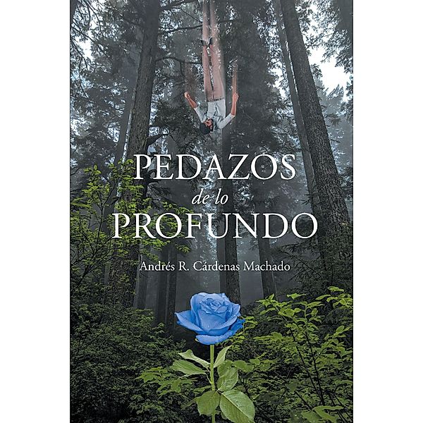 Pedazos de lo Profundo, Andres R. Cardenas Machado