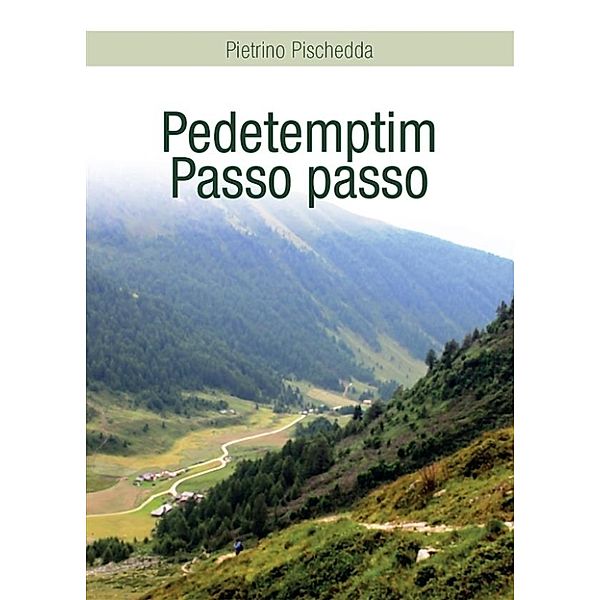 Pedetemptim - Passo passo, Pietrino Pischedda