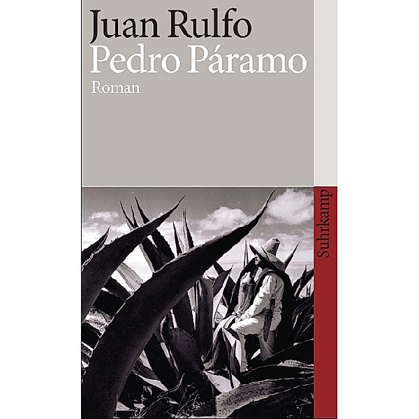 Pedro Páramo, Juan Rulfo