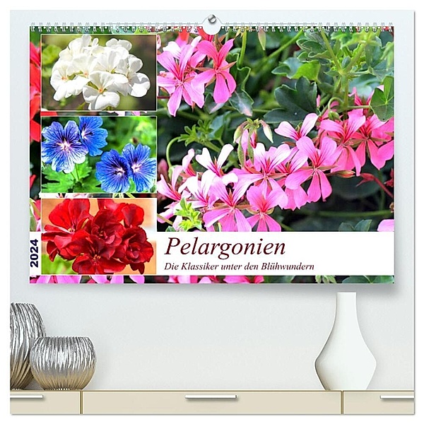 Pelargonien. Die Klassiker unter den Blühwundern (hochwertiger Premium Wandkalender 2024 DIN A2 quer), Kunstdruck in Hochglanz, Rose Hurley