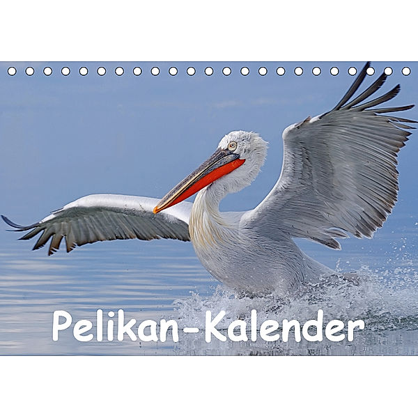 Pelikan-Kalender (Tischkalender 2019 DIN A5 quer), Gerald Wolf