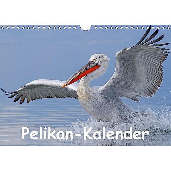 Pelikan-Kalender (Wandkalender 2017 DIN A4 quer), Gerald Wolf