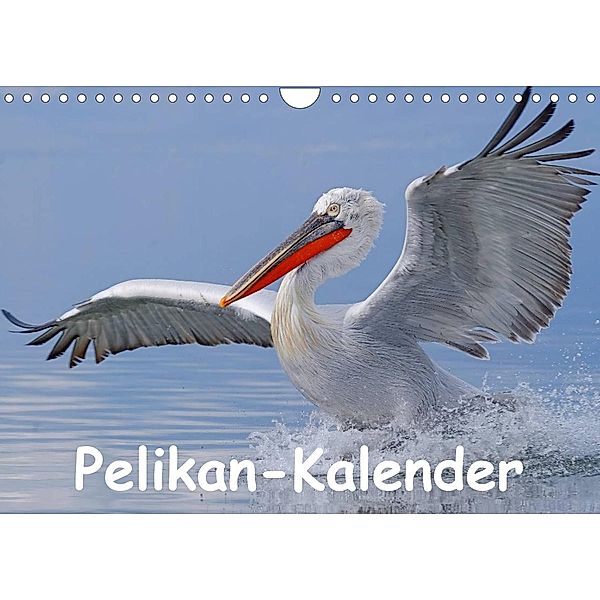 Pelikan-Kalender (Wandkalender 2023 DIN A4 quer), Gerald Wolf