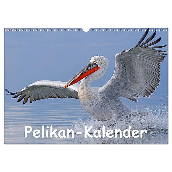 Pelikan-Kalender (Wandkalender 2024 DIN A3 quer), CALVENDO Monatskalender, Gerald Wolf