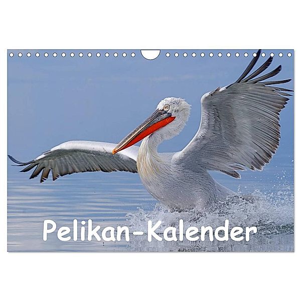 Pelikan-Kalender (Wandkalender 2024 DIN A4 quer), CALVENDO Monatskalender, Gerald Wolf