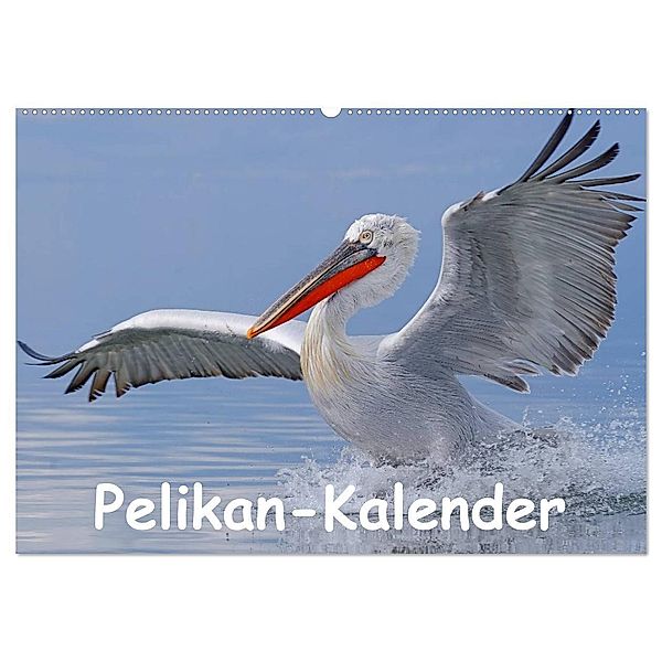 Pelikan-Kalender (Wandkalender 2025 DIN A2 quer), CALVENDO Monatskalender, Calvendo, Gerald Wolf