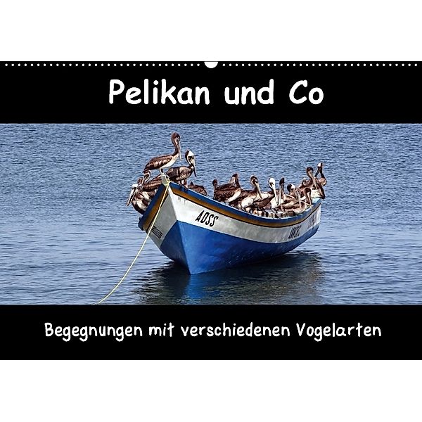 Pelikan und Co - Begegnung mit verschiedenen Vogelarten (Wandkalender 2018 DIN A2 quer), Ramona Benahmed