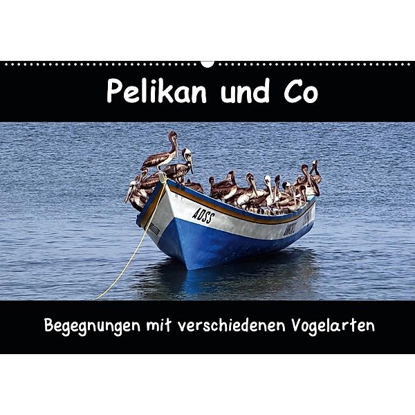 Pelikan und Co - Begegnung mit verschiedenen Vogelarten (Wandkalender 2021 DIN A2 quer), Ramona Benahmed