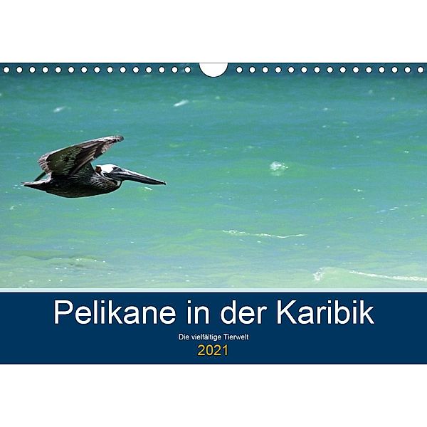 Pelikane in der Karibik - Die vielfältige Tierwelt (Wandkalender 2021 DIN A4 quer), Frank Hornecker -www.fotosdelmundo.de-