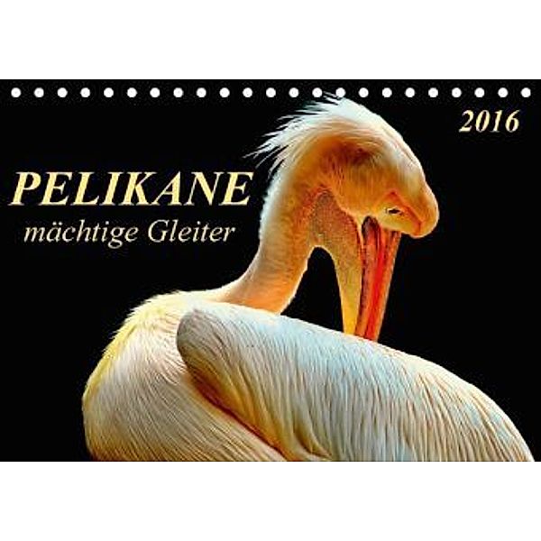 Pelikane - mächtige Gleiter (Tischkalender 2016 DIN A5 quer), Peter Roder