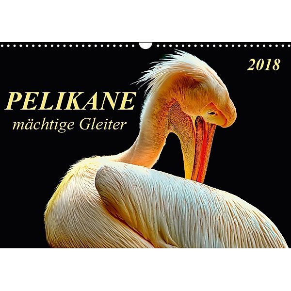 Pelikane - mächtige Gleiter (Wandkalender 2018 DIN A3 quer), Peter Roder