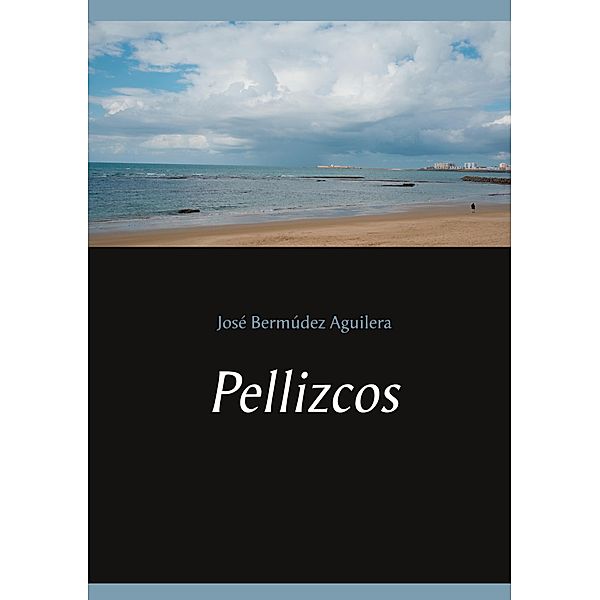 Pellizcos, José Bermúdez Aguilera