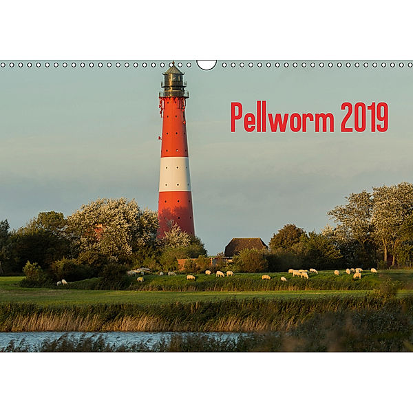 Pellworm 2019 (Wandkalender 2019 DIN A3 quer), D. E. T. photo impressions