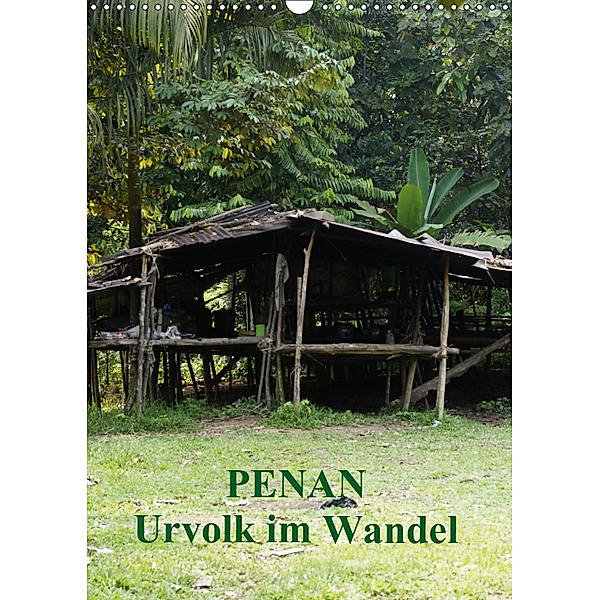 Penan-Urvolk im Wandel (Wandkalender 2019 DIN A3 hoch), Sandro Iffert