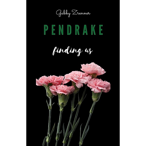 Pendrake 3- finding us / Pendrake Bd.3, Gabby Zrenner