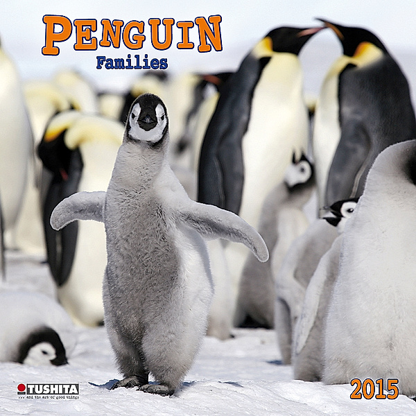 Penguin Families 2015