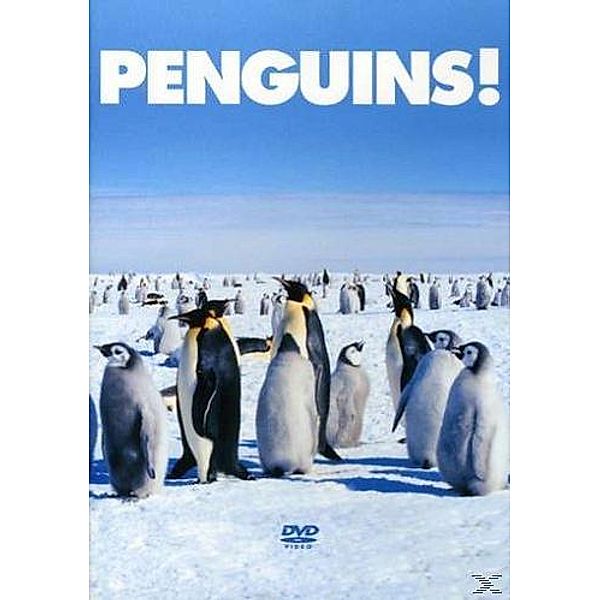 Penguins!, Diverse Interpreten