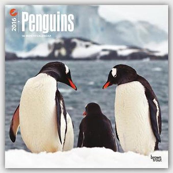 Penguins 2016