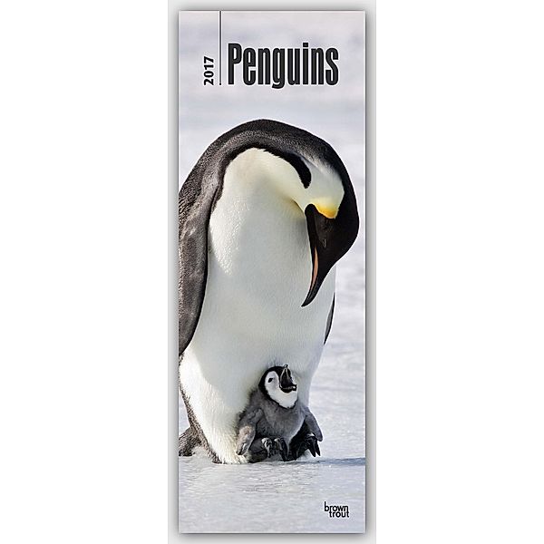 Penguins 2017 Slim