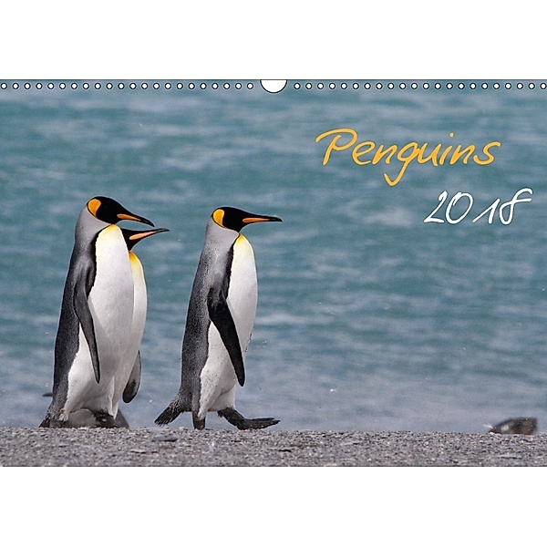Penguins 2018 (Wall Calendar 2018 DIN A3 Landscape), Brigitte Schlögl