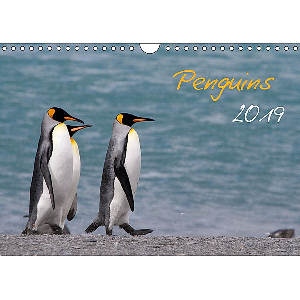 Penguins 2019 (Wall Calendar 2019 DIN A4 Landscape), Brigitte Schlögl