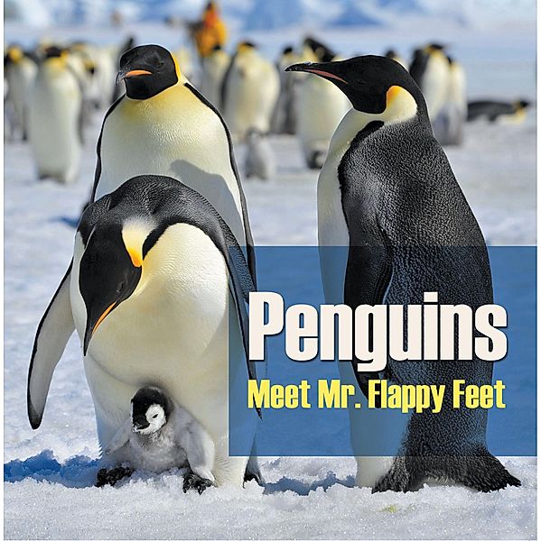 Penguins - Meet Mr. Flappy Feet / Baby Professor, Baby
