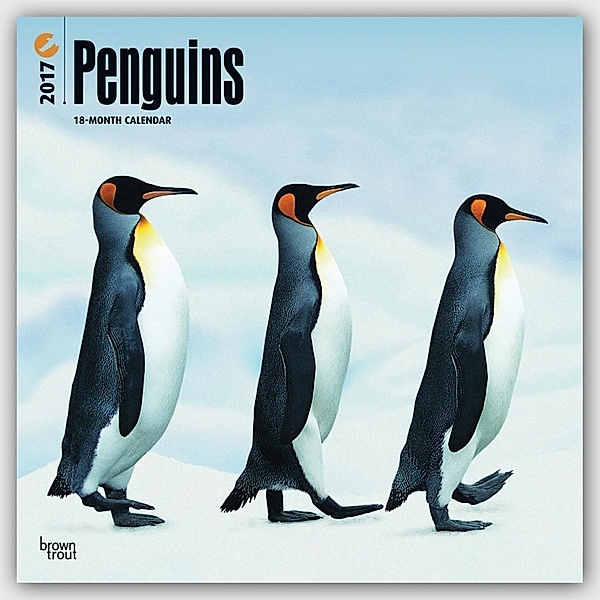 Penguins - Pinguine 2017 - 18-Monatskalender