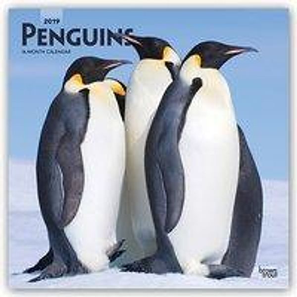 Penguins - Pinguine 2019 - 18-Monatskalender