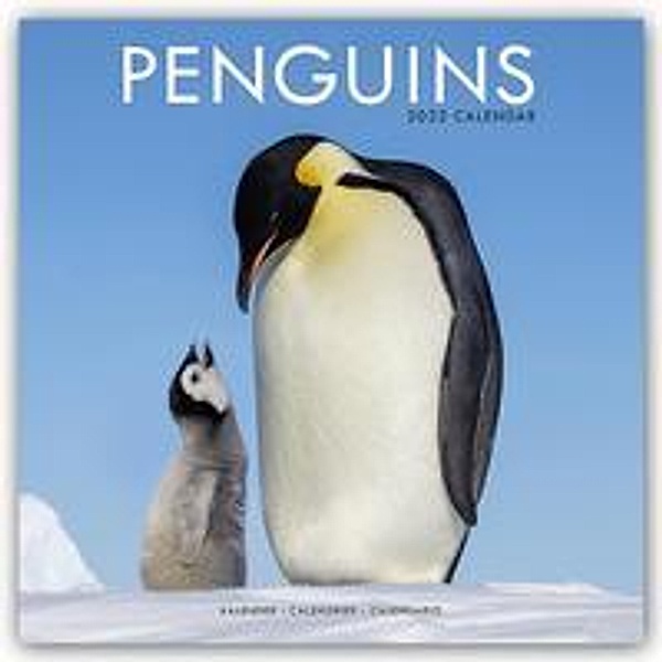 Penguins - Pinguine 2022 - 16-Monatskalender, Avonside Publishing Ltd