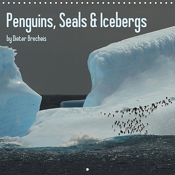Penguins, Seals & Icebergs by Dieter Brecheis (Wall Calendar 2017 300 × 300 mm Square), Dieter Brecheis
