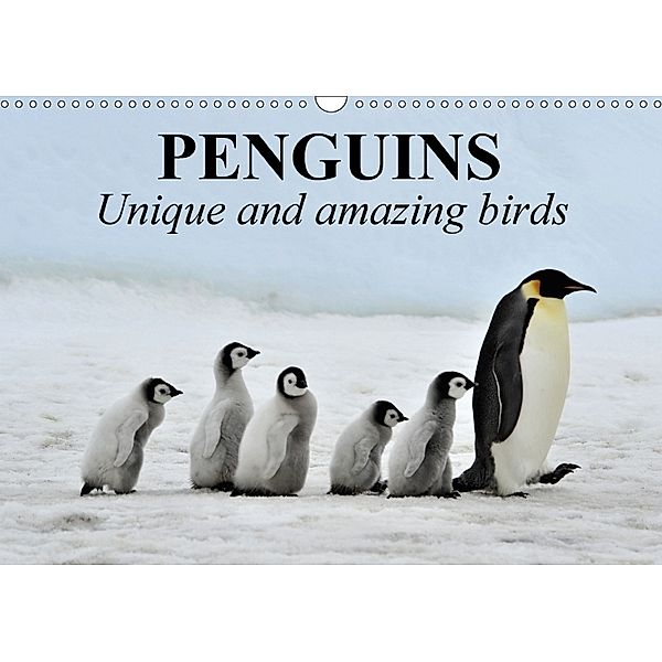 Penguins Unique and amazing birds (Wall Calendar 2018 DIN A3 Landscape), Elisabeth Stanzer