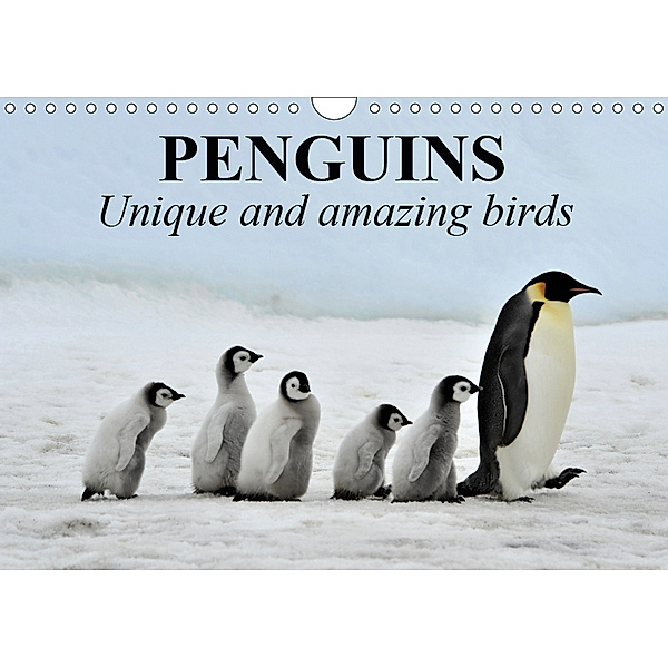 Penguins Unique and amazing birds (Wall Calendar 2019 DIN A4 Landscape), Elisabeth Stanzer
