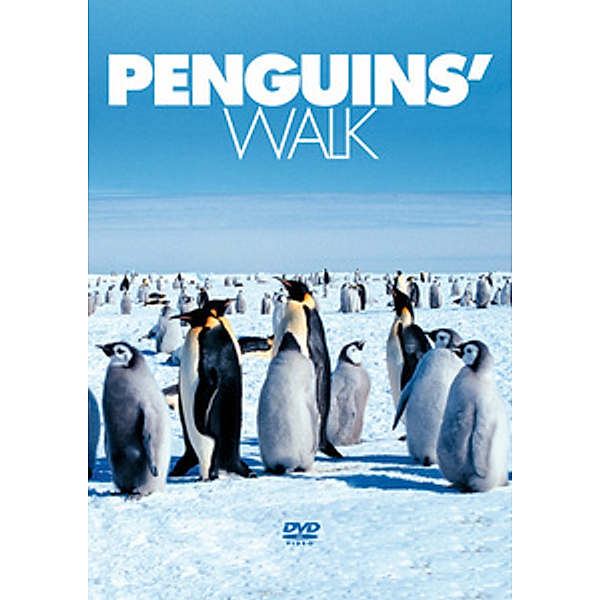 Penguins' Walk, Documentation