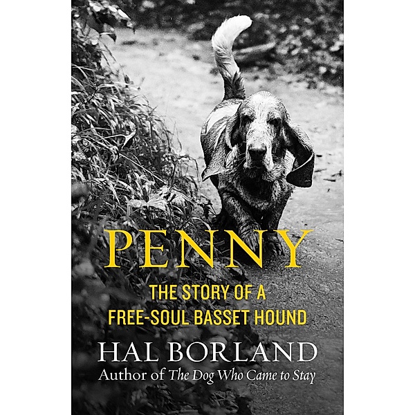 Penny, Hal Borland