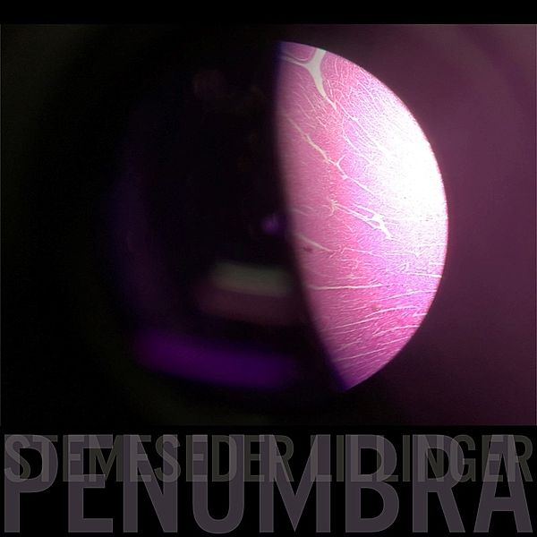 Penumbra (Lp), Christian Lillinger, Elias Stemeseder